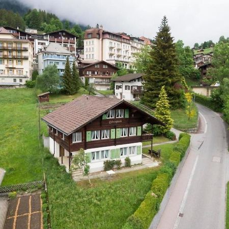 Ferienwohnung Studio "Eiger" Oder "Moench" Grindelwald Exterior foto